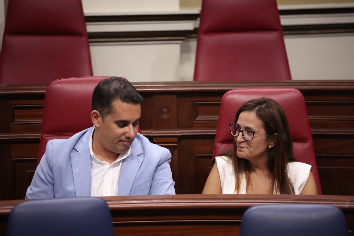 Natalia Santana y Yoné Caraballo de Nueva Canarias en un pleno del Parlamento 