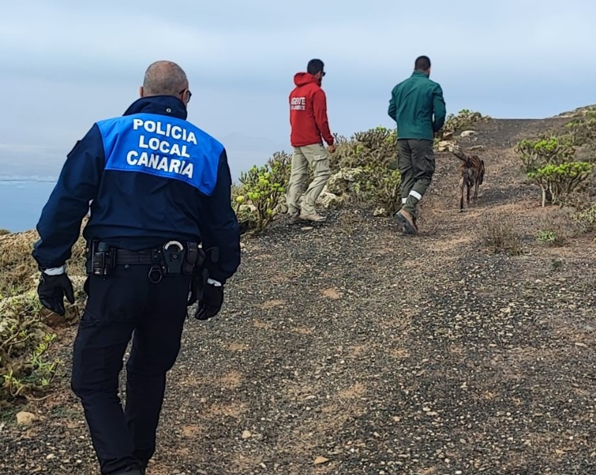 El objetivo es proteger a los animales y garantizar su seguridad