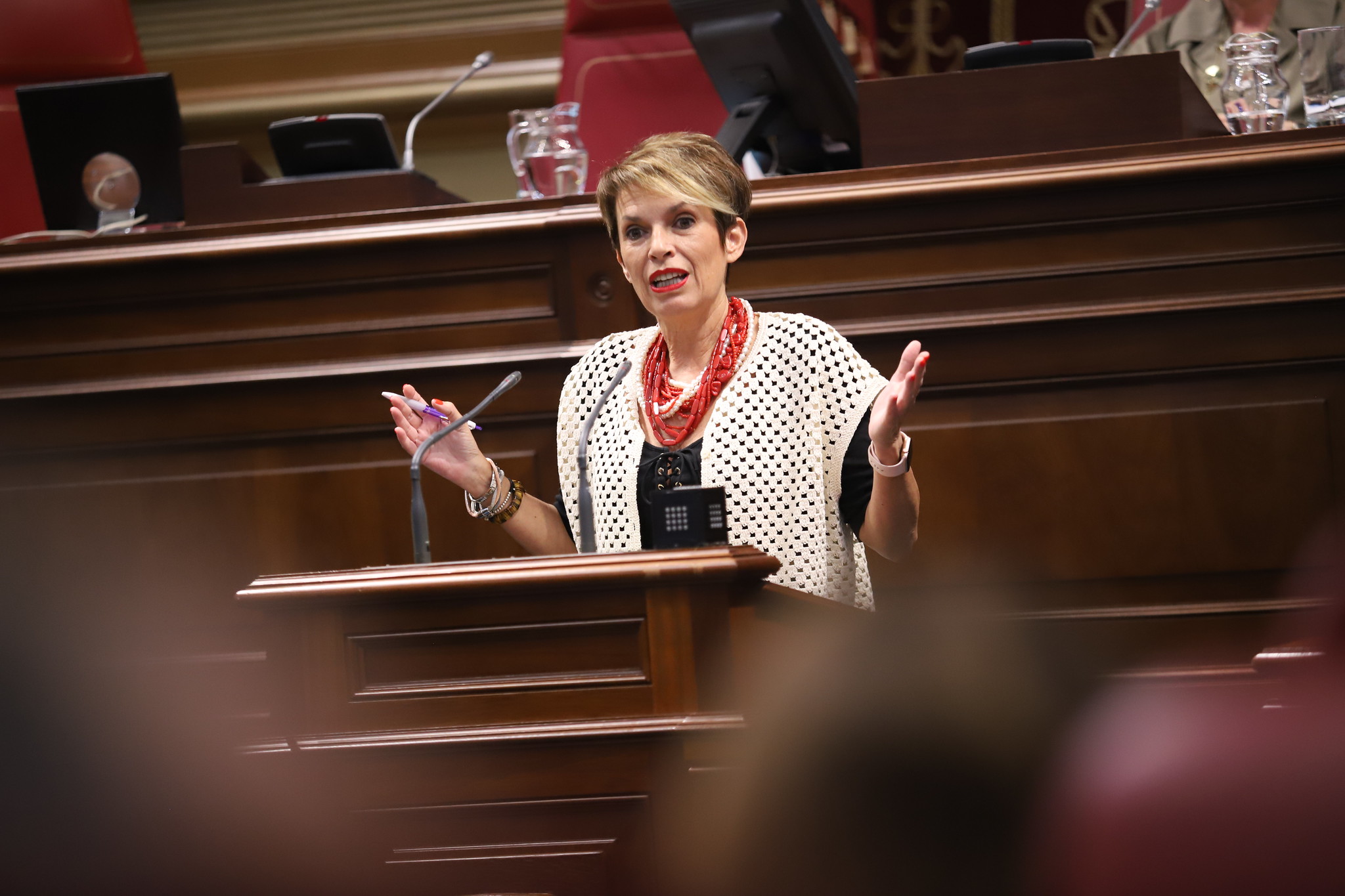 La vicesecretaria portavoz del PSOE Canarias, Elena Máñez. Foto: PSOE.