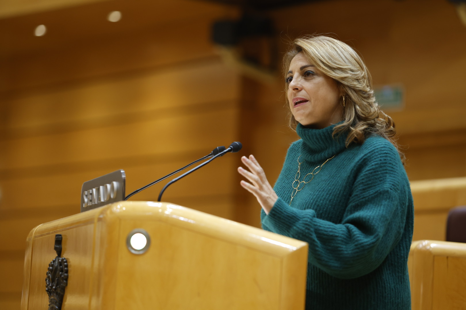 Cristina Valido en el Senado el pasado mes de enero. Foto: CC. 