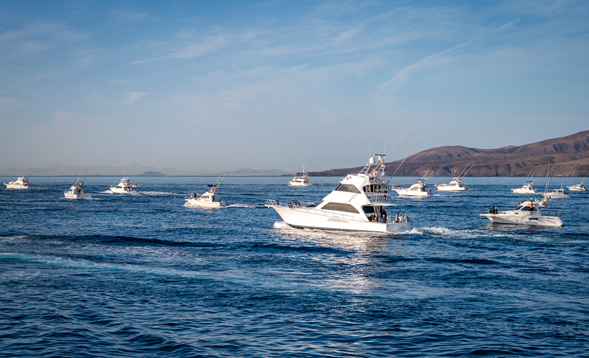 Torneo de Pesca 'Marlin Cup Puerto Calero 2023'