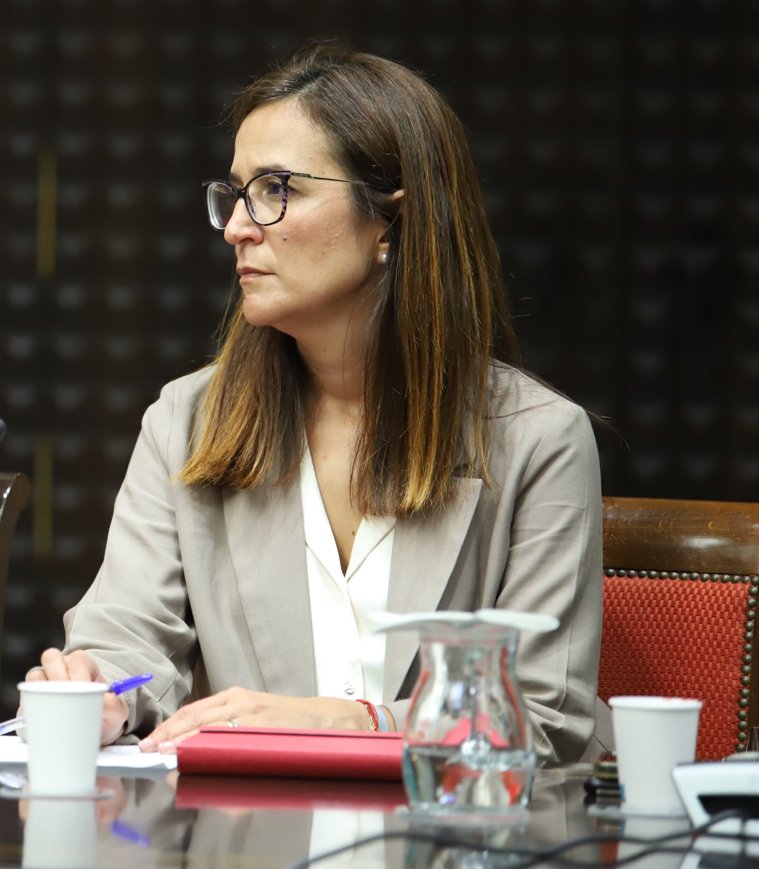 La parlamentaria de Nueva Canarias-Bloque Canarista Natalia Santana