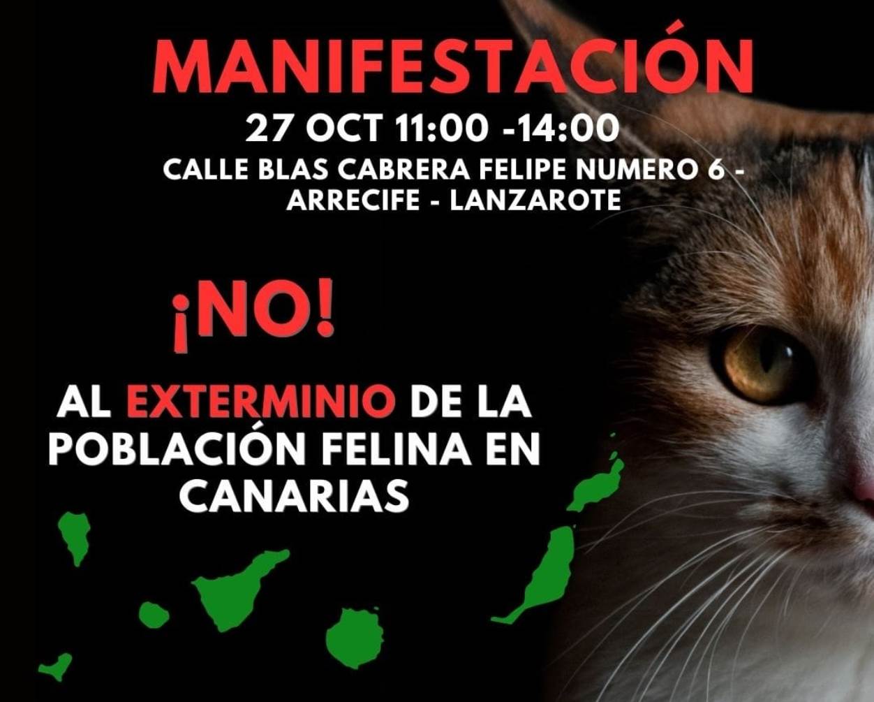 Manifestación