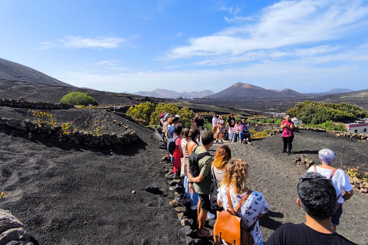 Ruta por La Geria en la pasada edición. Vino de Lanzarote.