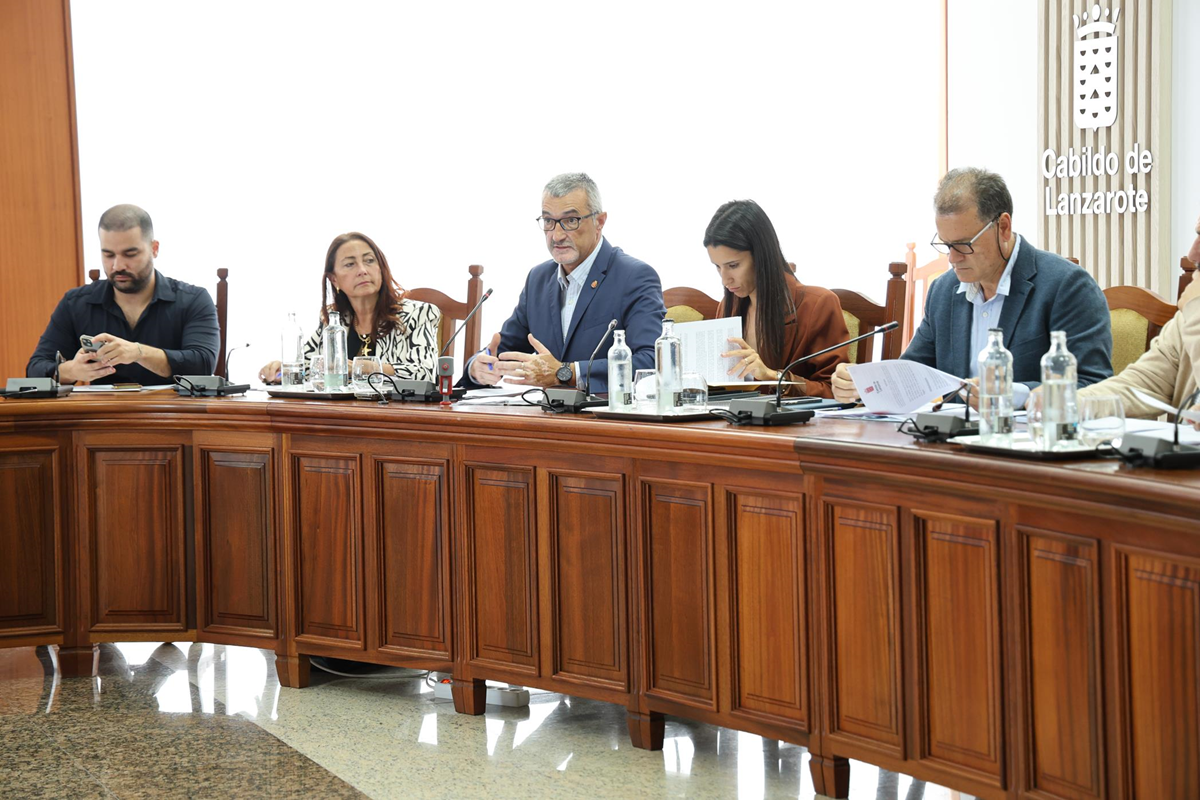 Pleno Ordinario del Cabildo de Lanzarote