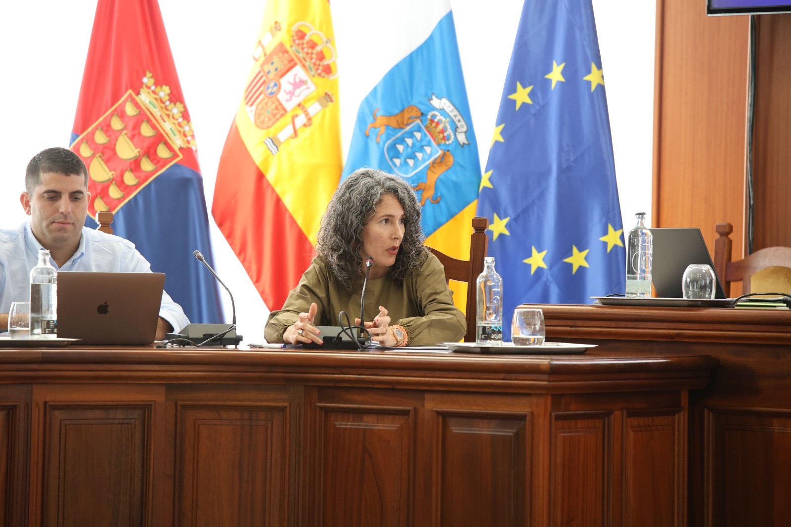 La portavoz del Grupo Socialista en el Cabildo, Ariagona González.