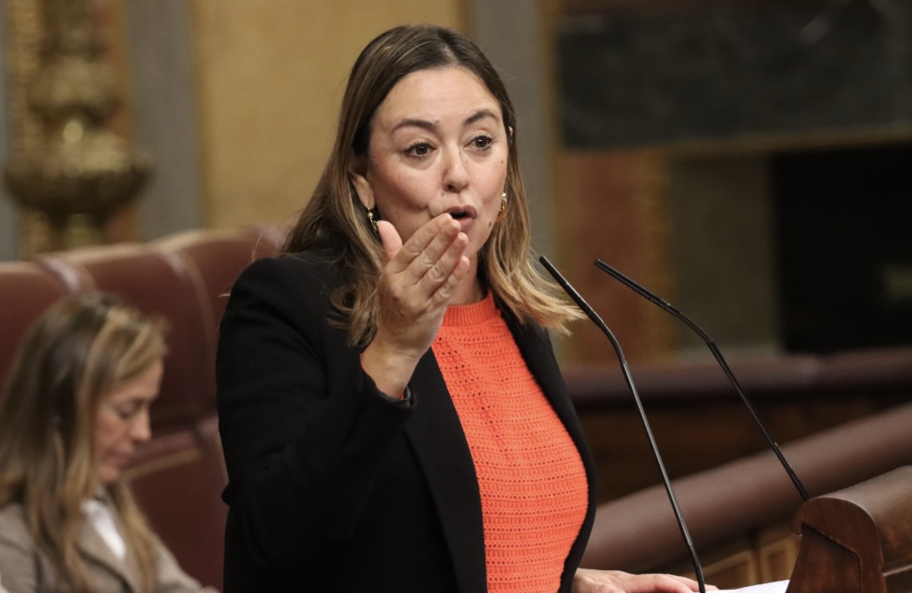 La secretaria insular del PSOE y Diputada en el Congreso, María Dolores Corujo.