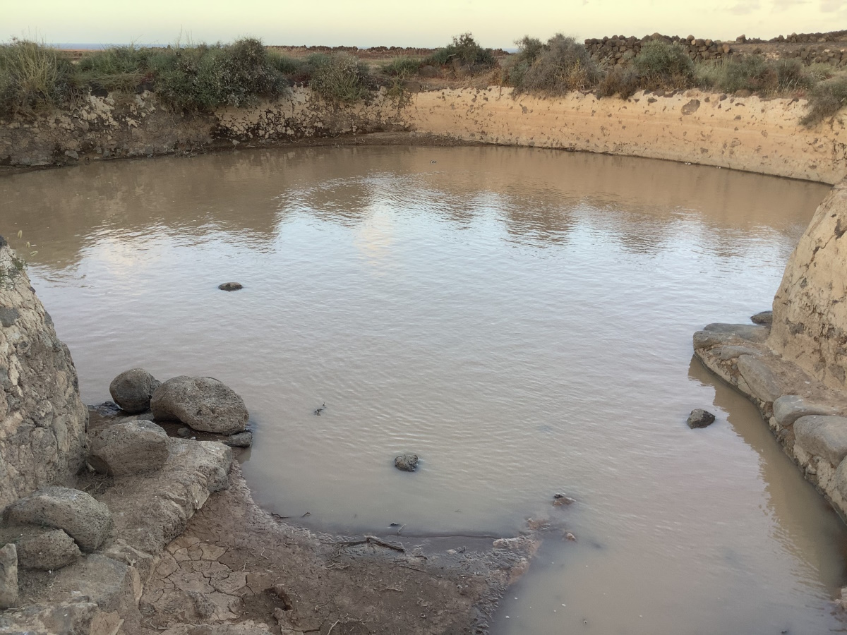 Un aljibe Cedida de Ecologistas en Acción