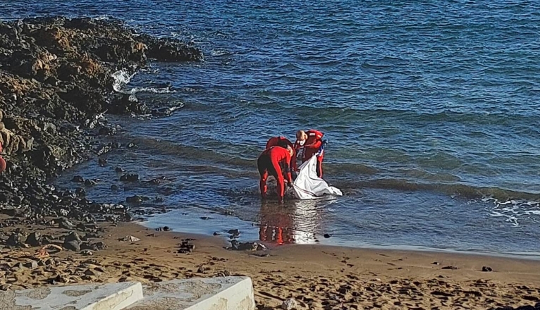 Efectivos de emergencias recogiendo una vaca muerta en Arrieta