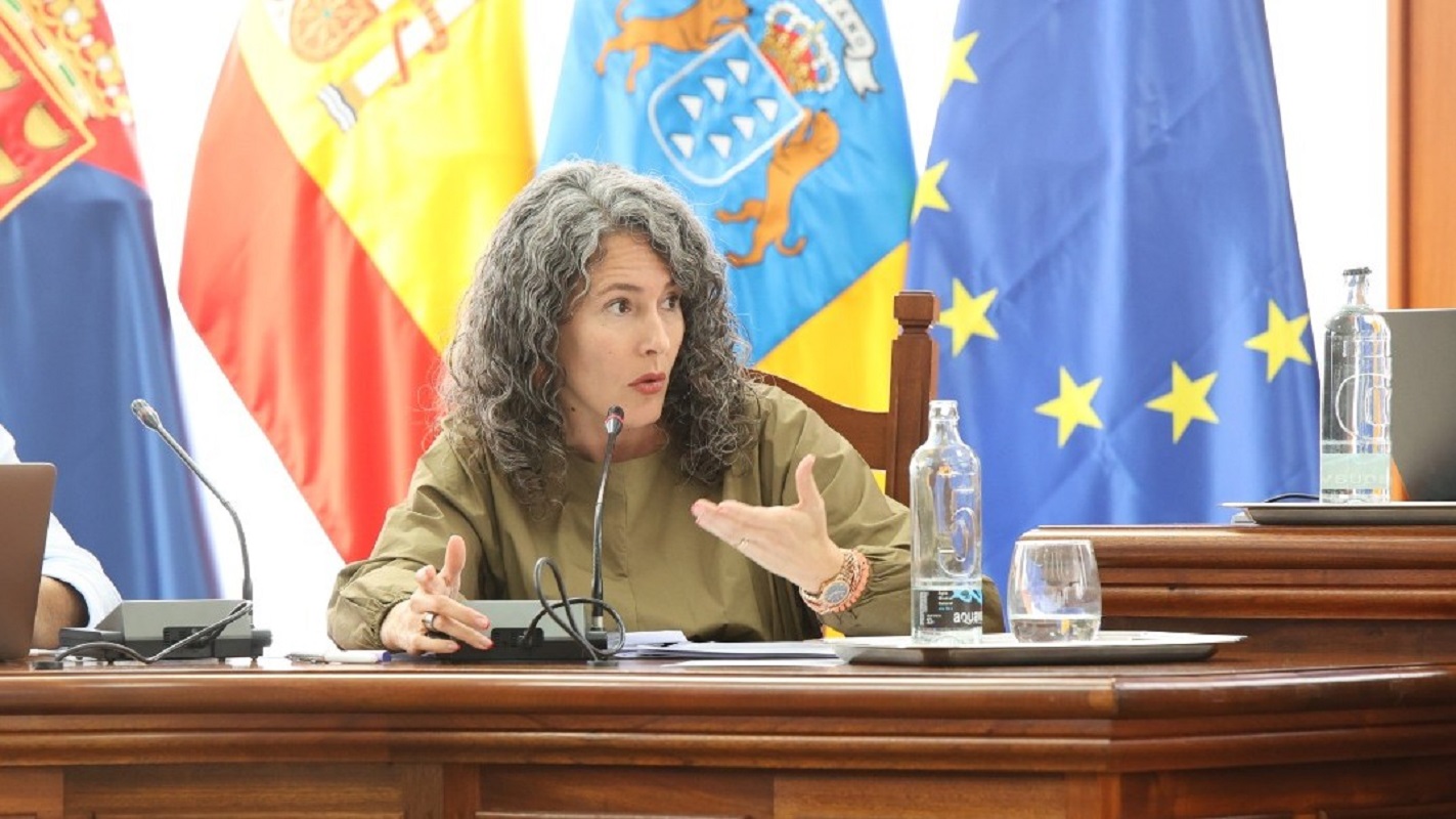 Ariagona González en un pleno del Cabildo de Lanzarote.