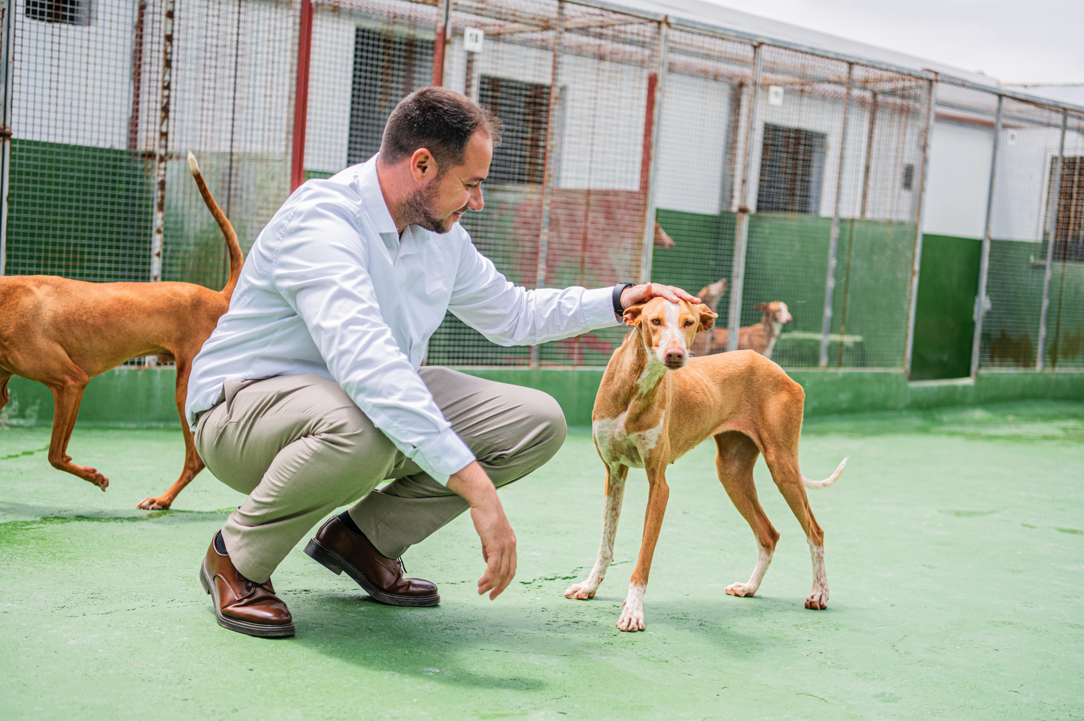 El concejal de Bienestar Animal de Arrecife, Ginés González.