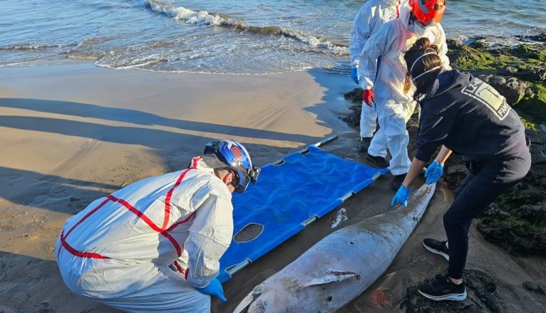 WhatsApp Image 2025 03 16 at 19.01.07 WhatsApp Image 2025 03 16 at 19.01.07